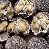 Key SugarMute ingredients - Supports Glucose Balance